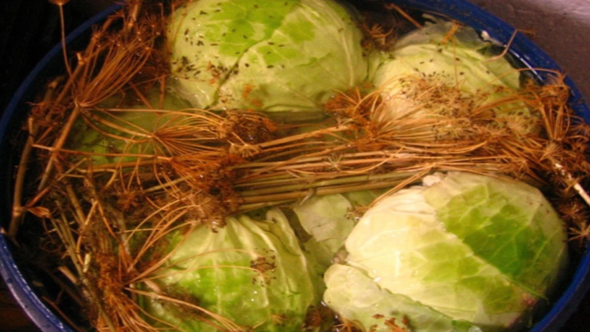 Varza murata in butoi traditional